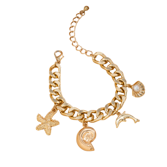 Boho Conch & Dolphin Choker Set